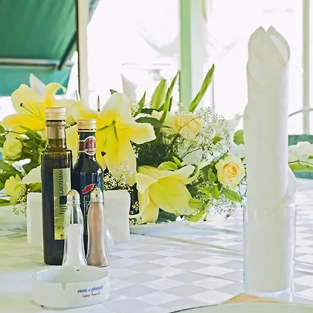 Maxi Park & 4* Sofia