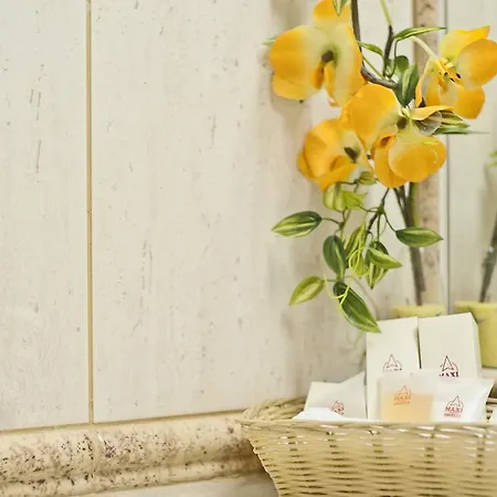 Ξενοδοχείο Maxi Park & 4*