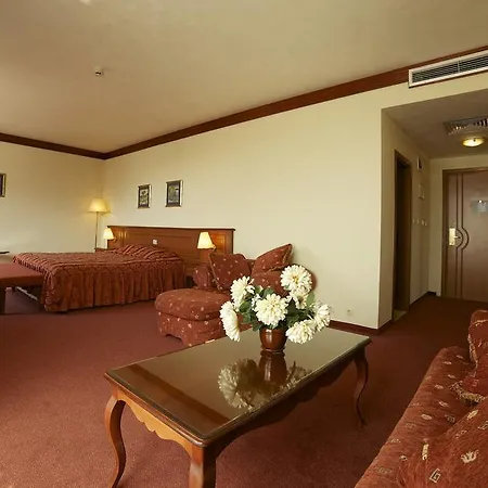 Hotel Maxi Park &