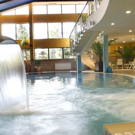 Maxi Park & Hotel