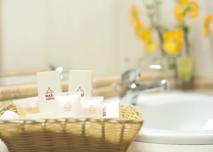 Maxi Park & 4* Sofía