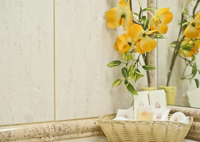 Hotel Maxi Park & 4*