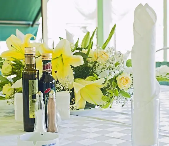 Maxi Park & 4* Sofia