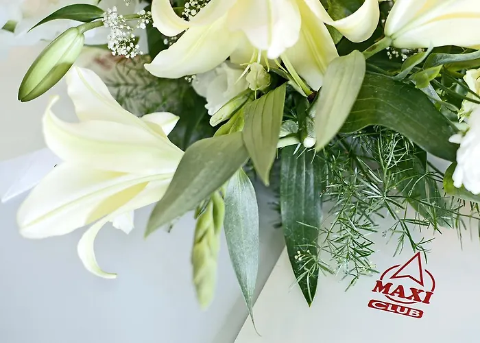 Hotel Maxi Park & 4*