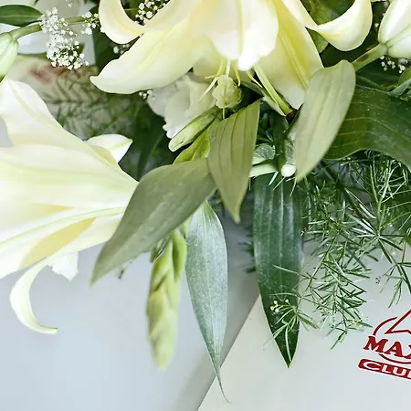 מלון Maxi Park & 4*